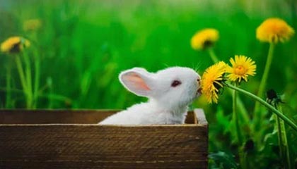 【2025最新】广佛高端私人茶室TOP10，品味与格调并存