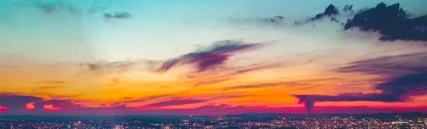 南县茶虫网_南县品茶